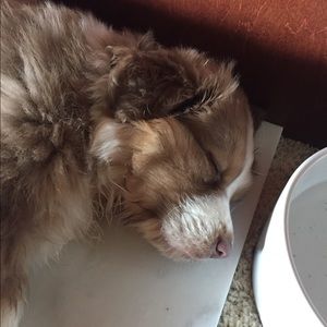 Meet your Posher, Robert